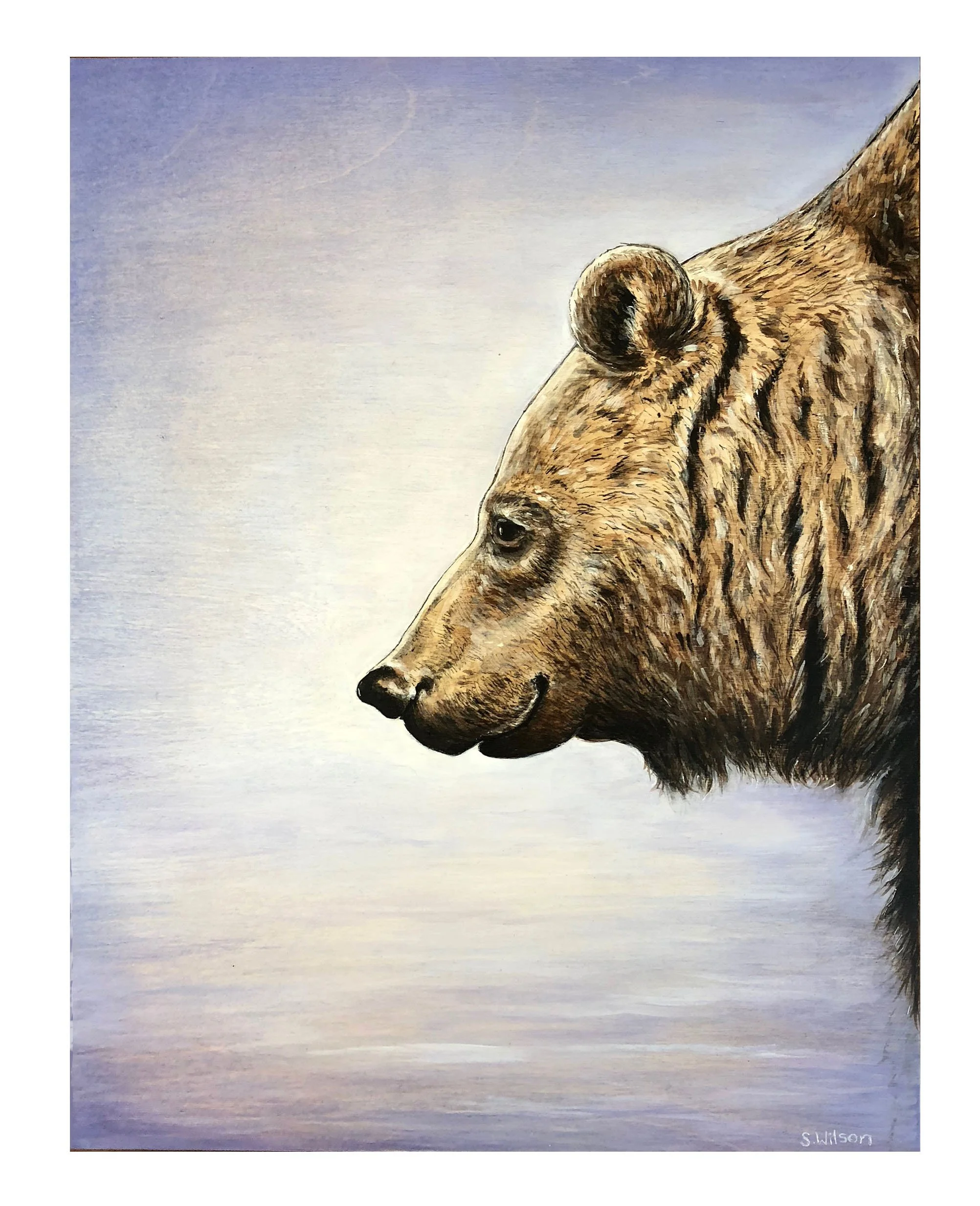 Purple Bear.JPG