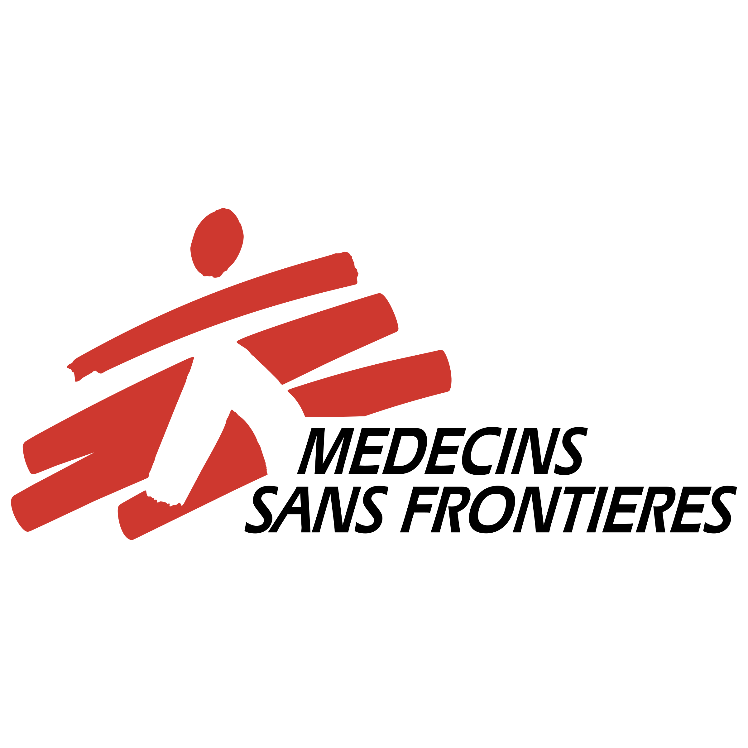 MSF (Doctors without Borders)