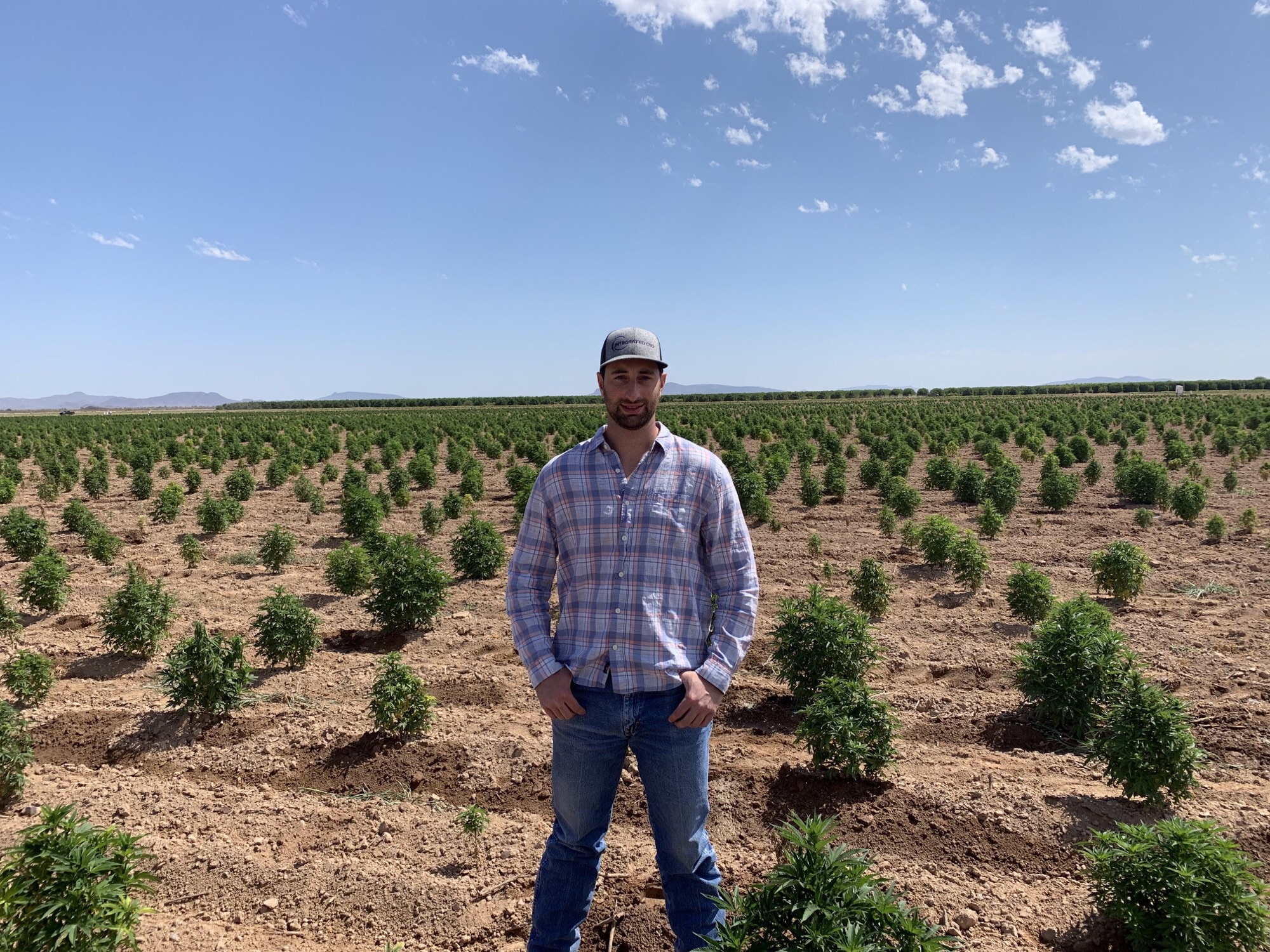 Richard Phelps, Integrated CBD’s Director of Farming.