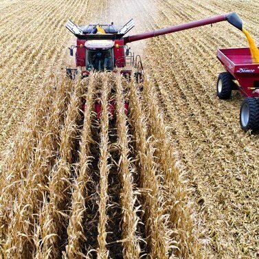 Farm-Bill-Article.jpg