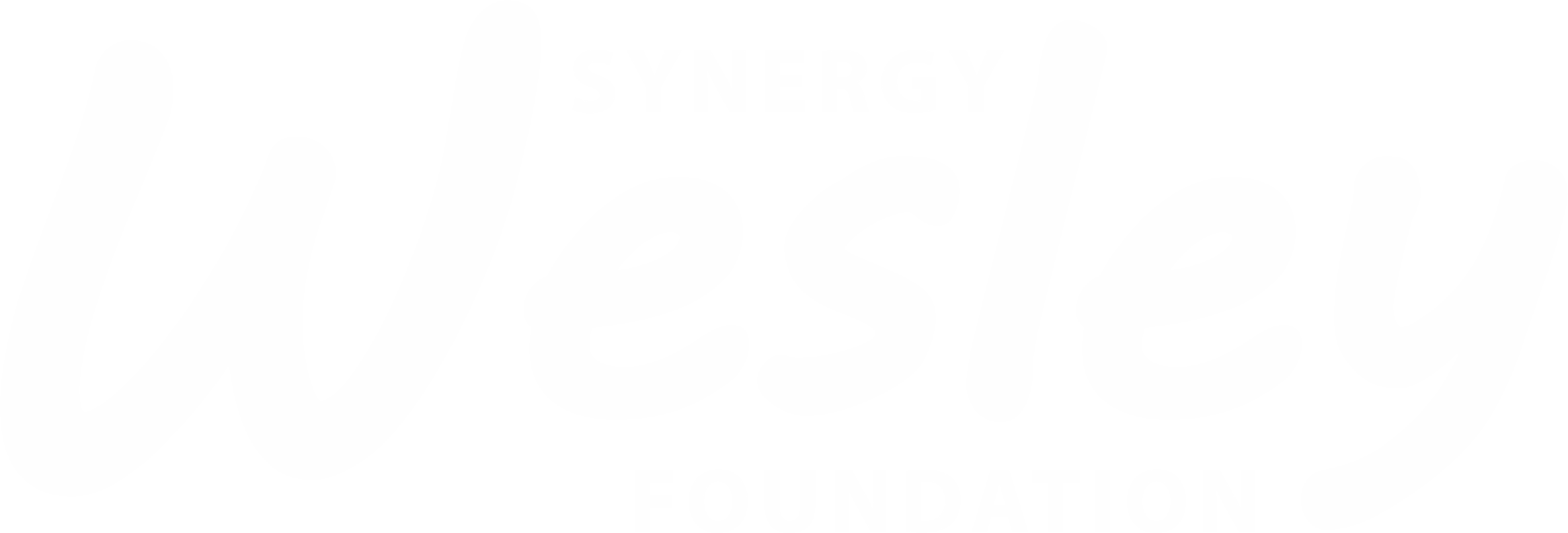 Synergy Wesley Foundation