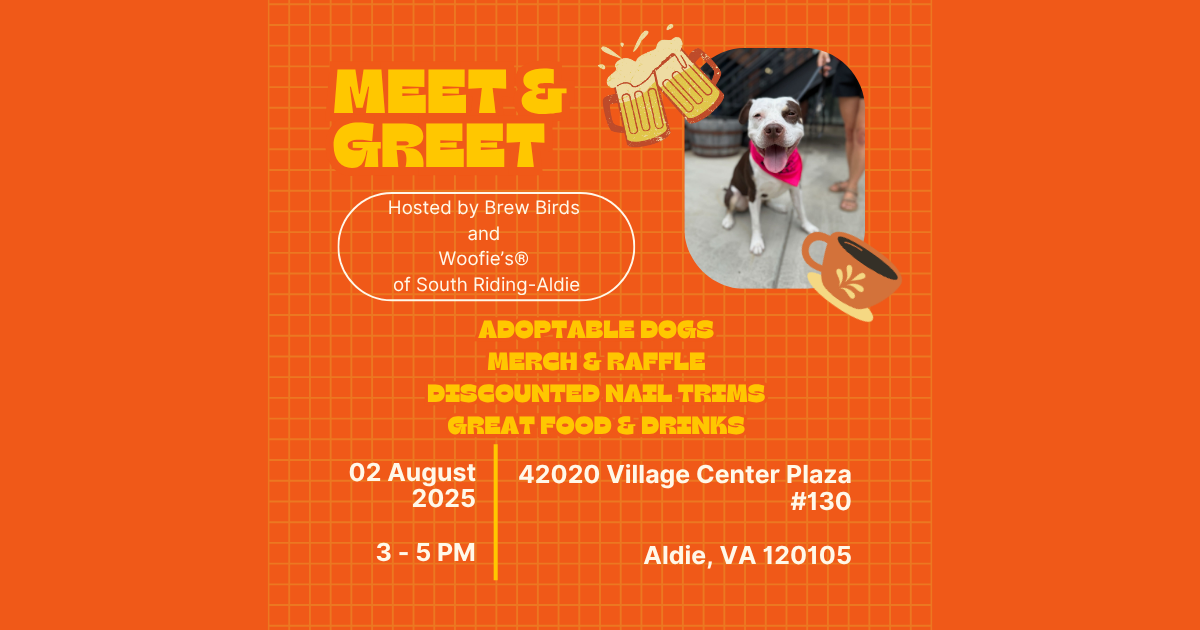 Meet & Greet