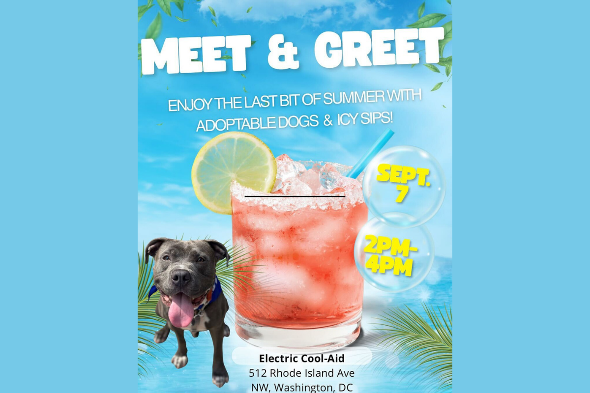 Meet & Greet