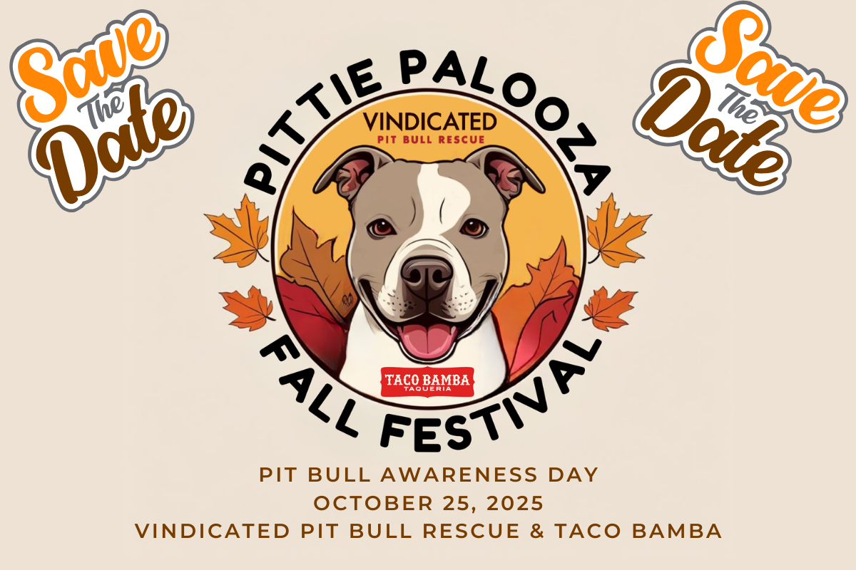 Pit Bull Awareness Day