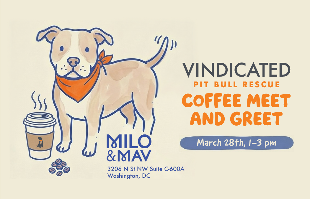 Coffee Meet and Greet