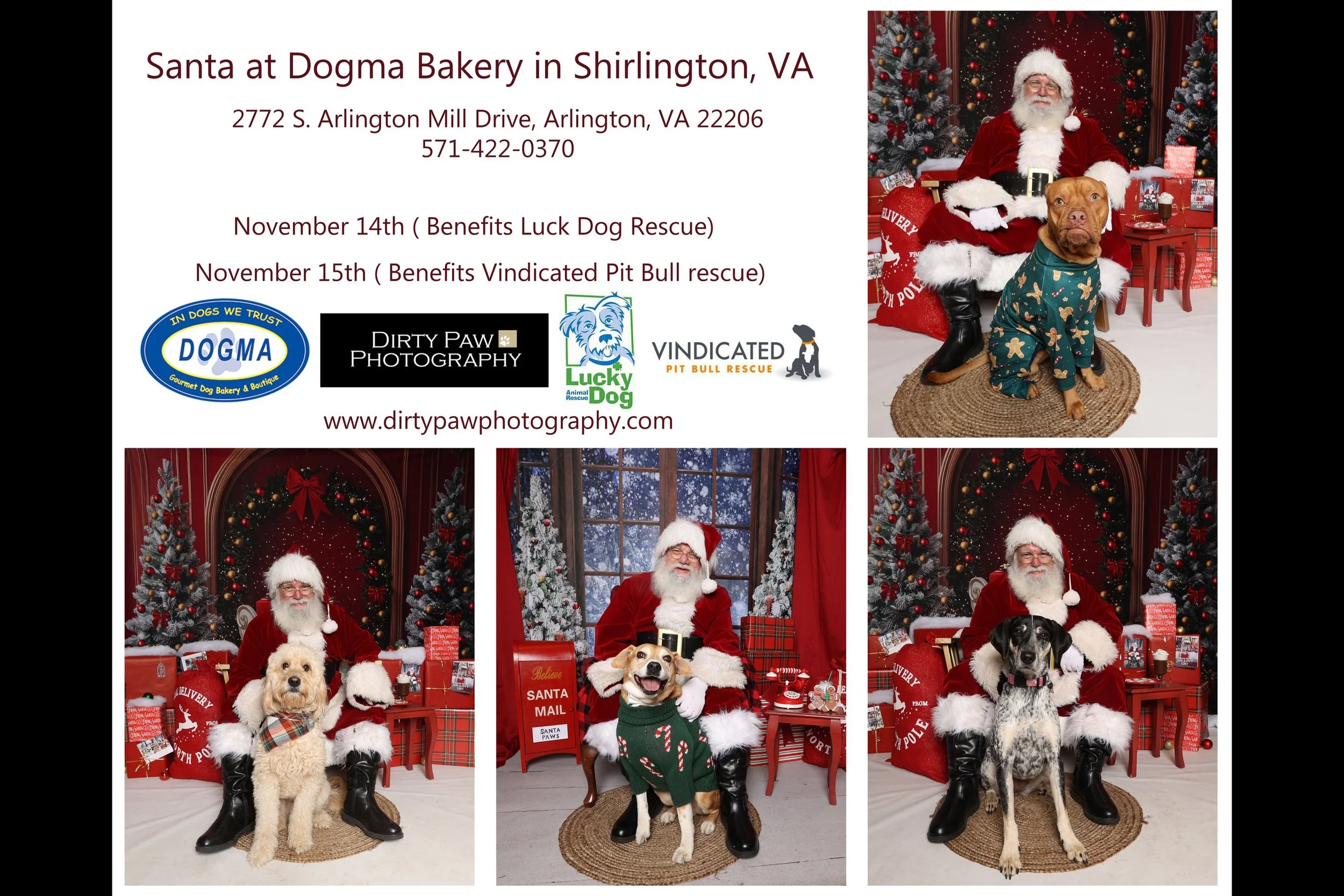 Santa at Dogma Bakery in Shirlington, VA