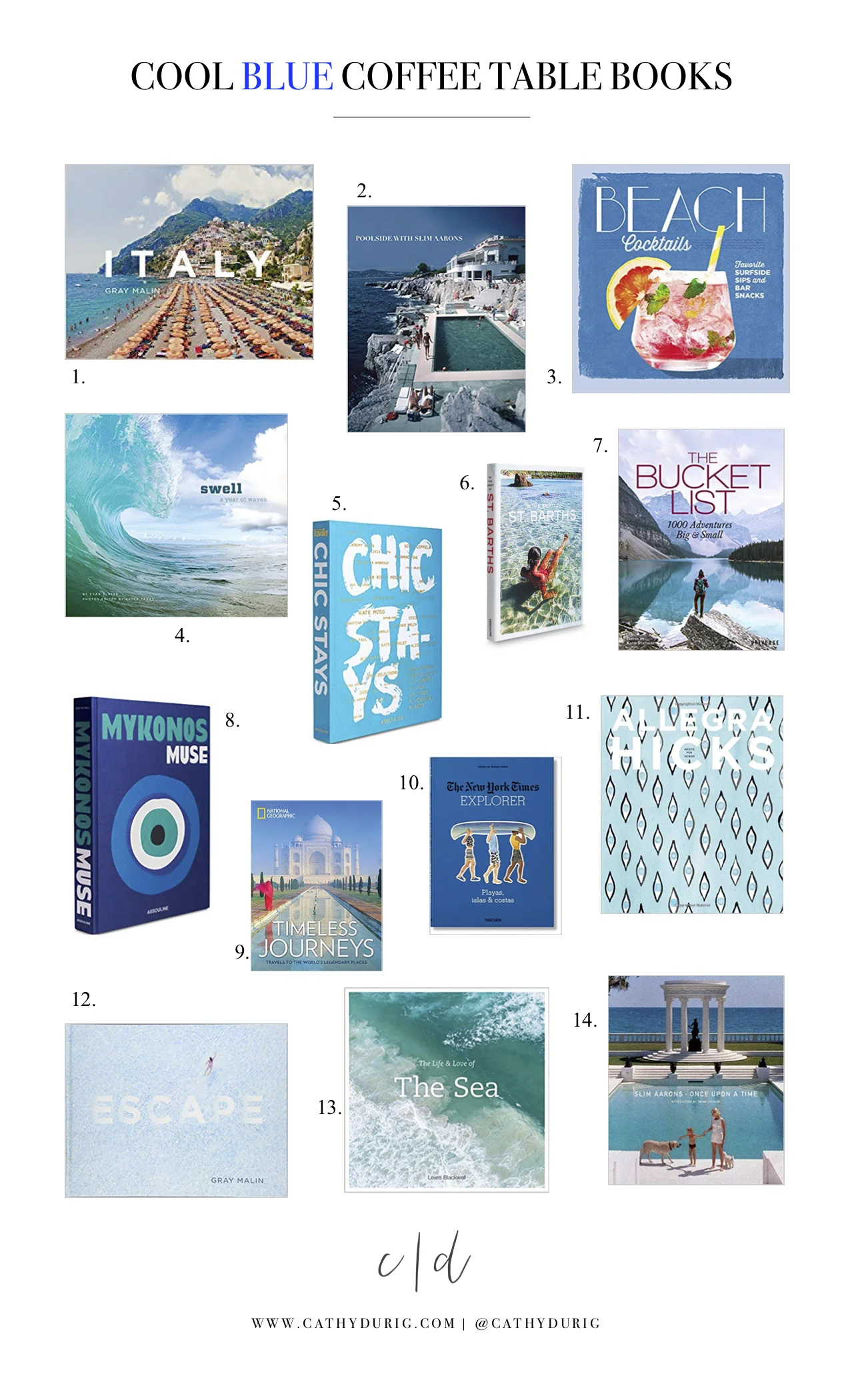 Cool Blue Coffee Table Books.jpg