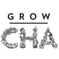 Grow Chattanooga logo.jpg