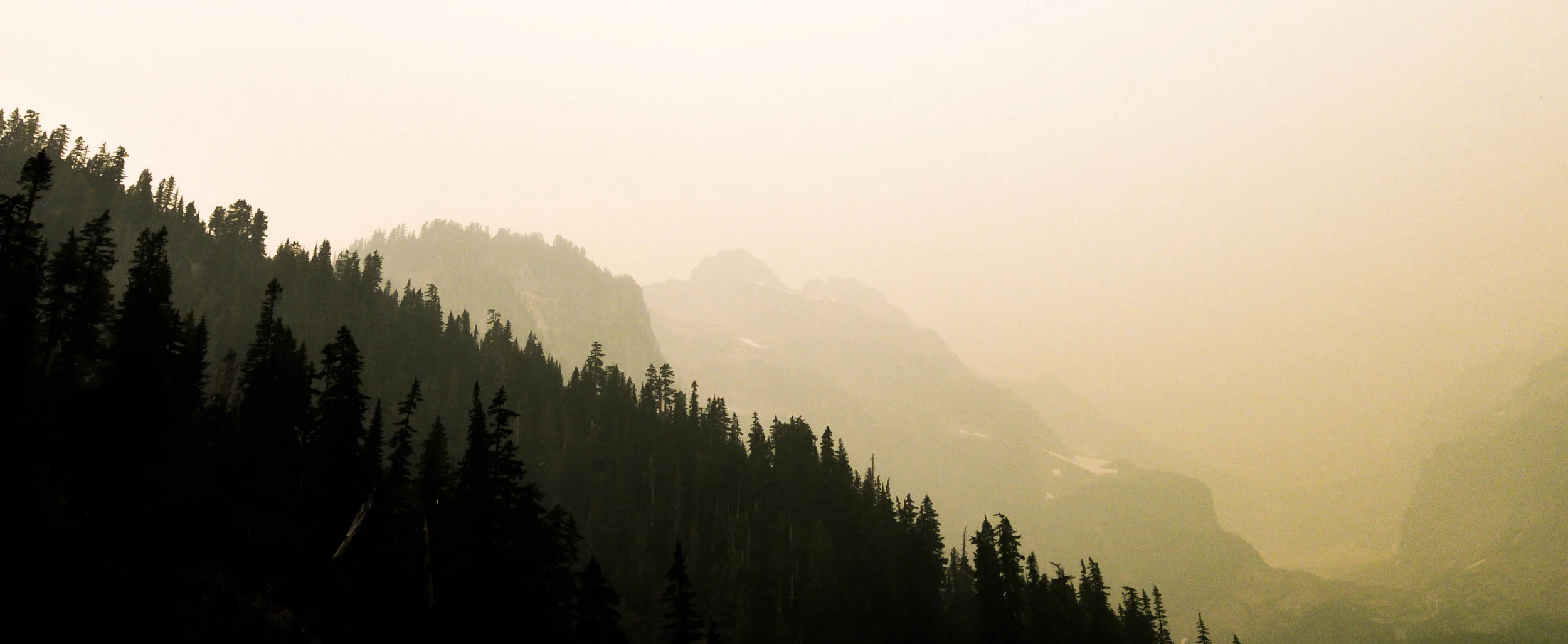 valley procesed_.jpg