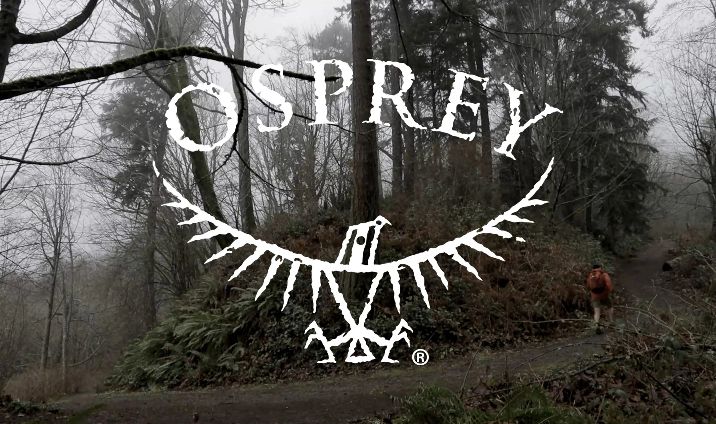 Project 3_ Osprey Advery copy.jpg