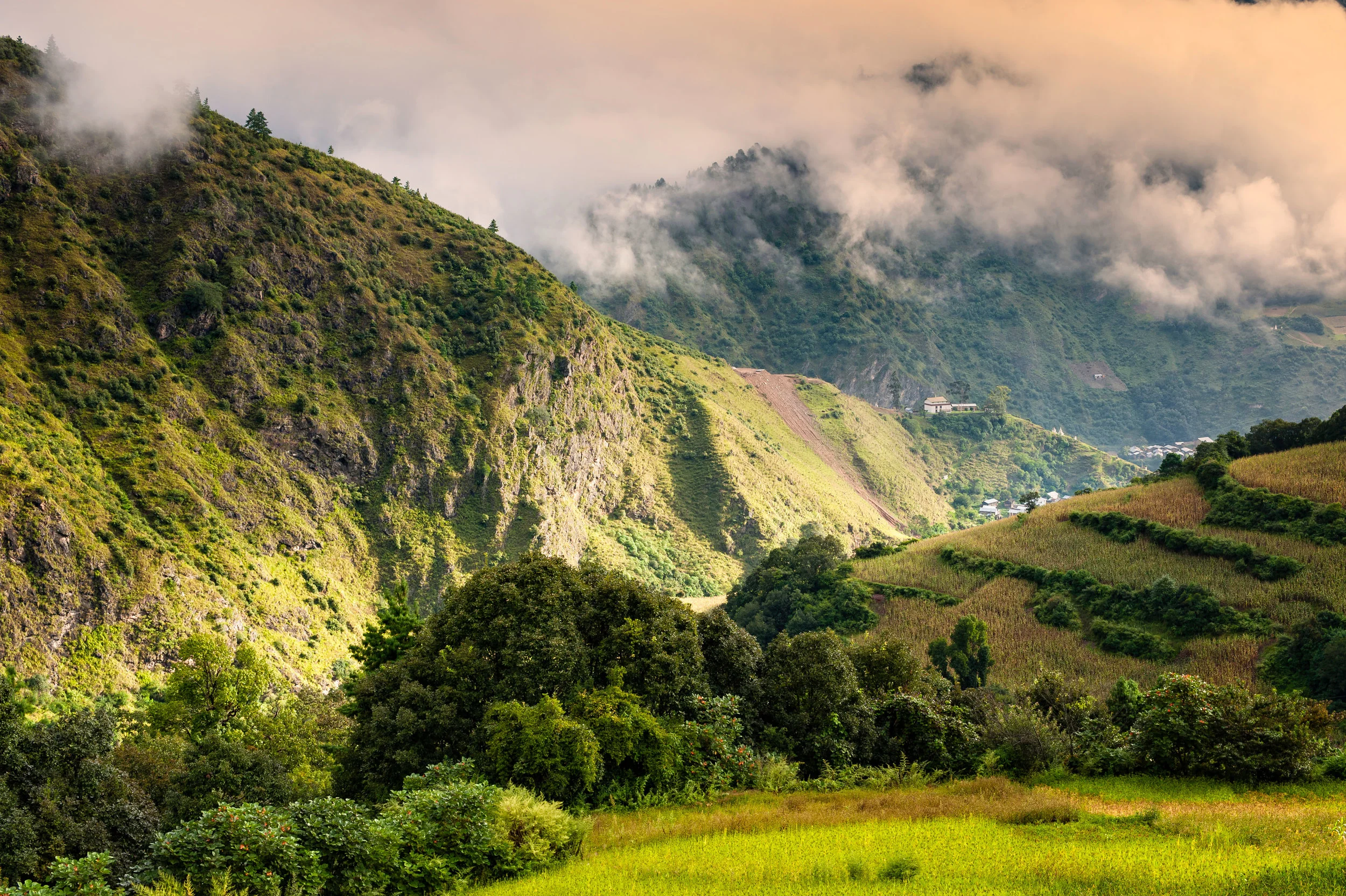 indigena main web.jpg