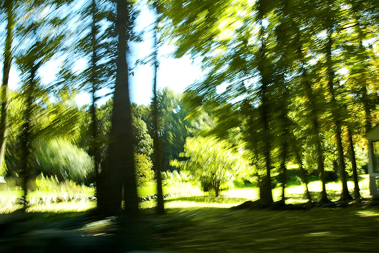 _DSC8288.jpg