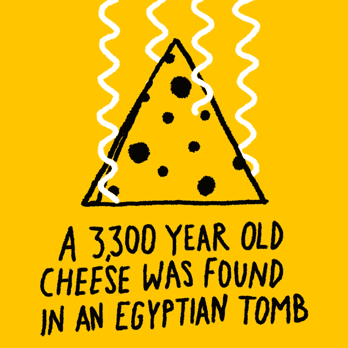 14-a-3300-year-old-cheese-was-found-in-an-engyptian-tomb.gif