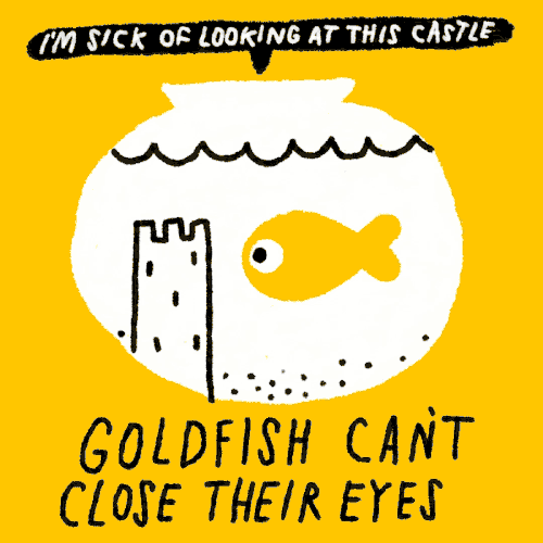16-goldfish-can%27t-close-their-eyes.gif?format=500w&profile=RESIZE_710x