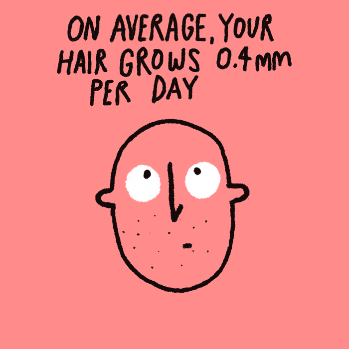 17-on-average,-hair-grow-0.4mm-a-day.gif