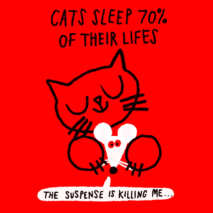 21-cats-sleep-for-70%-of-their-lives.gif