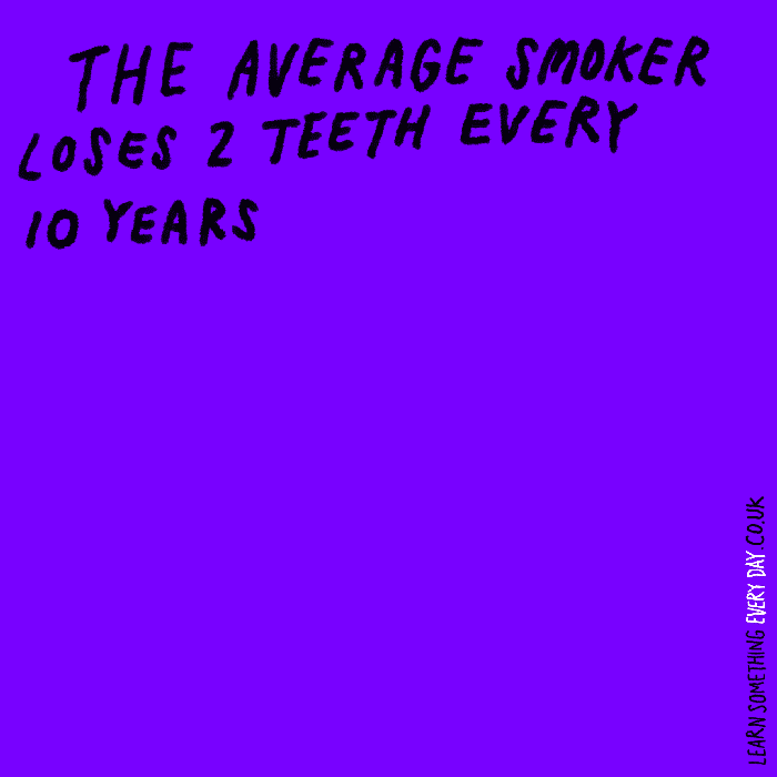 44-The-average-smoker-loses-2-teeth-every-10-years.gif