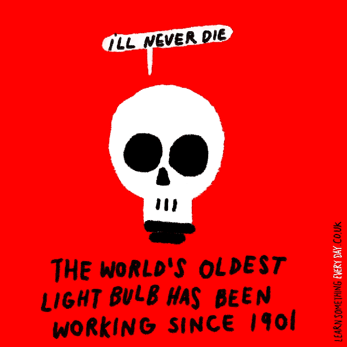 the-world's-oldest-lightbulb-has-been-working-since-1901.gif