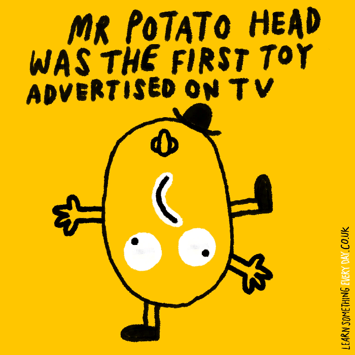 Mr-Potato-head-was-the-first-toy-advertised-on-TV.gif