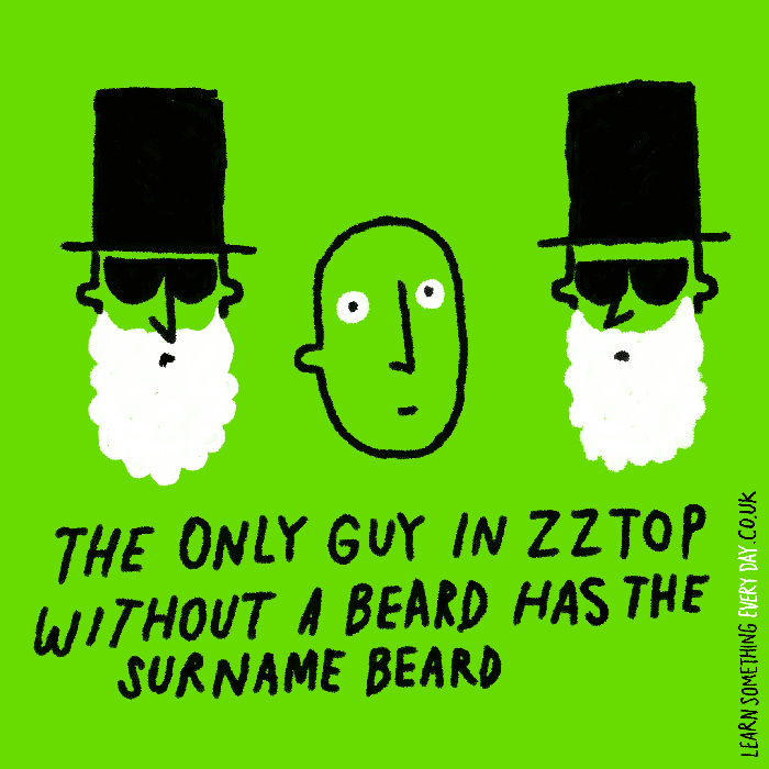 the-only-guy-in-zz-top-without-a-beard-had-the-surname-beard.gif