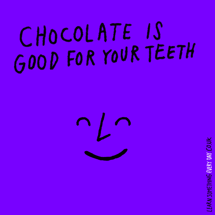 Chocolate-is-good-for-your-teeth.gif