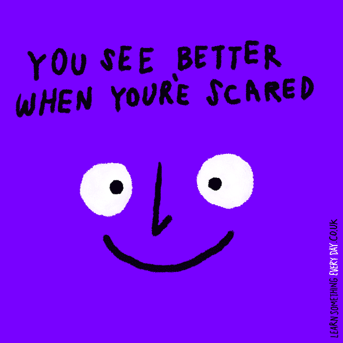 you-see-better-when-youre-scared.gif