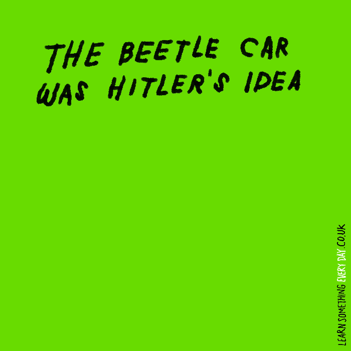 The-beetle-car-was-Hitler's-idea.gif