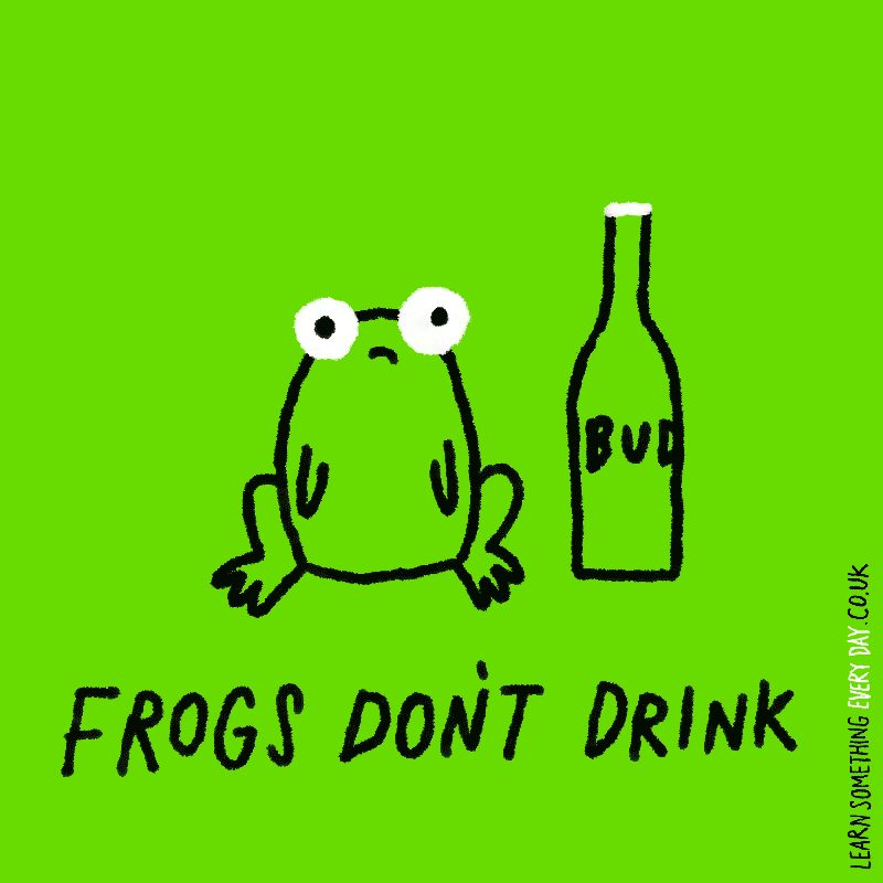 frogs-don't-drink.gif