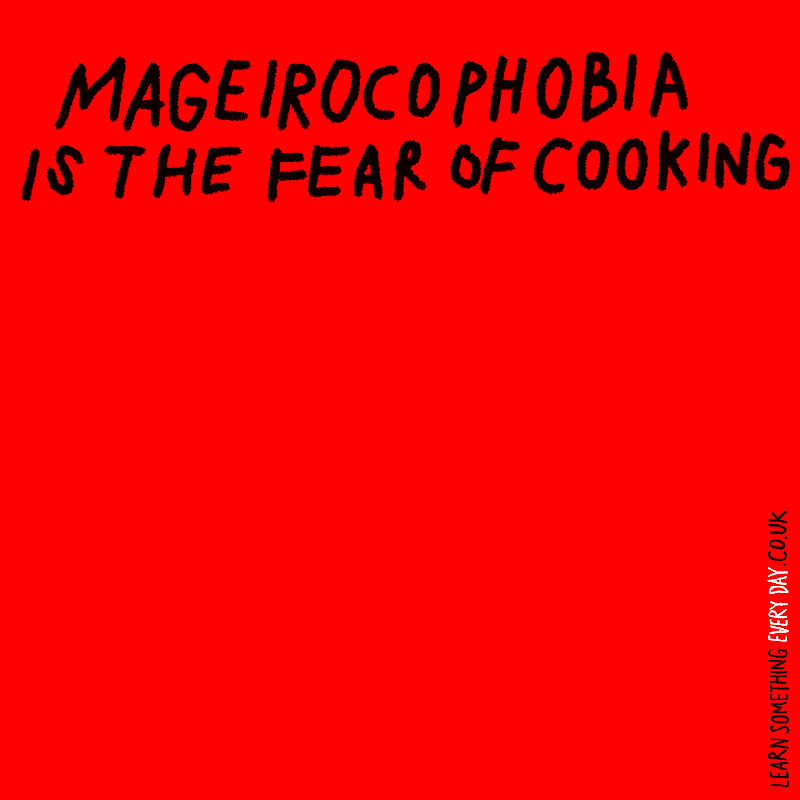 mageirocophobia-is-the-fear-of-cooking.gif