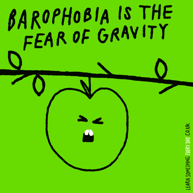 Barophobia-is-the-fear-of-gravity.gif