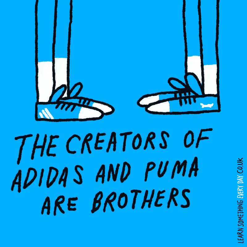 puma and adidas creators