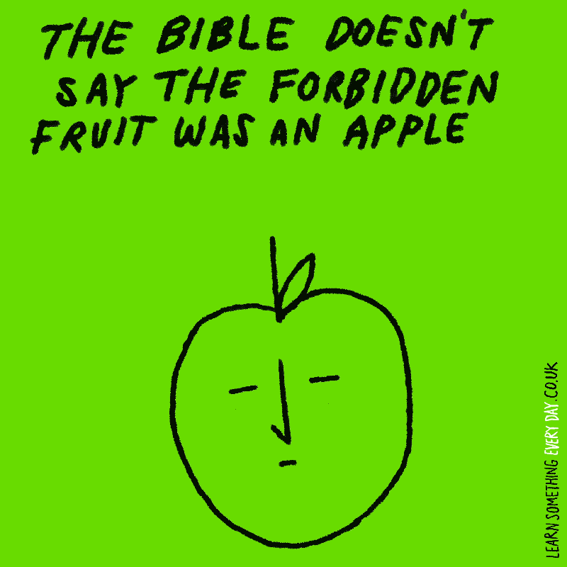 the-bible-doesnt-say-the-forbidden-fruit-was-an-apple.gif