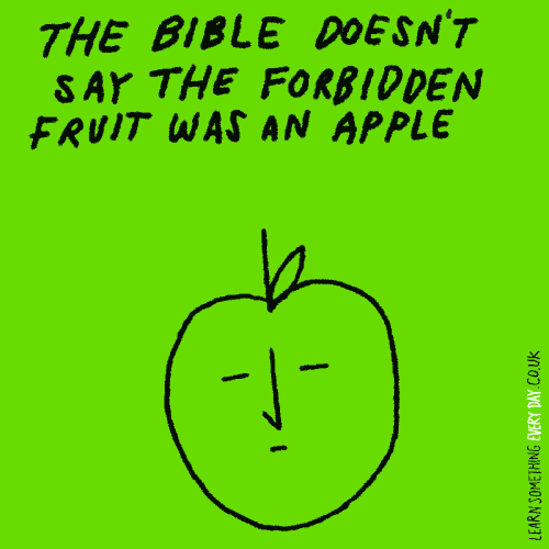 the-bible-doesnt-say-the-forbidden-fruit-was-an-apple.gif?format=500w&profile=RESIZE_710x