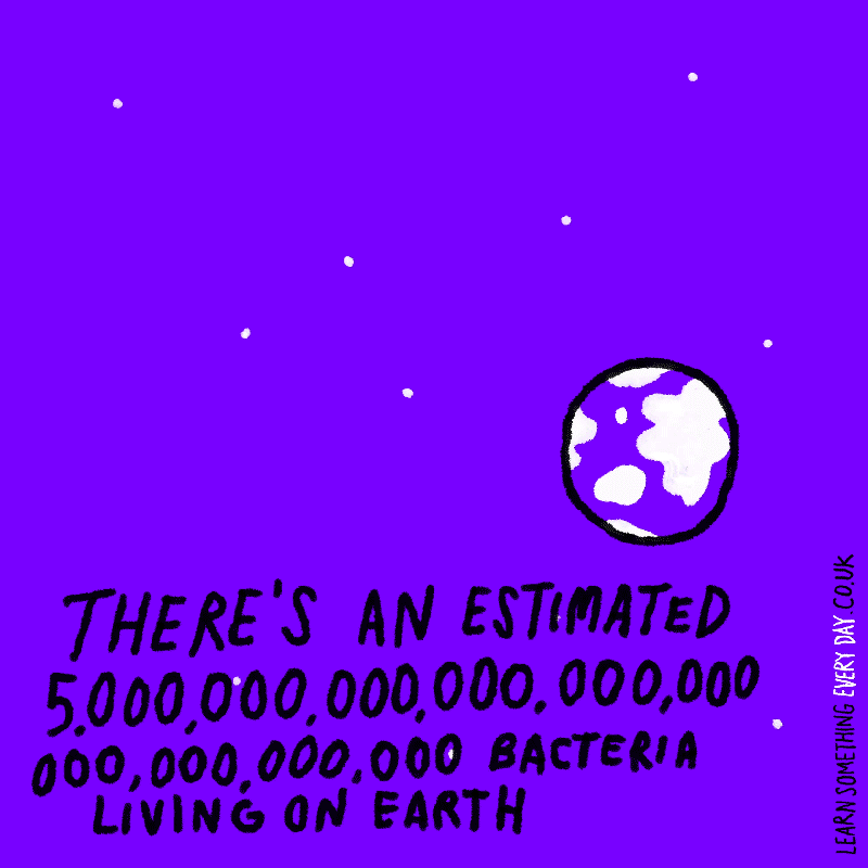 There's-an-estimated-5000000000000000000000000000000-bacteria-living-on-earth_1.gif