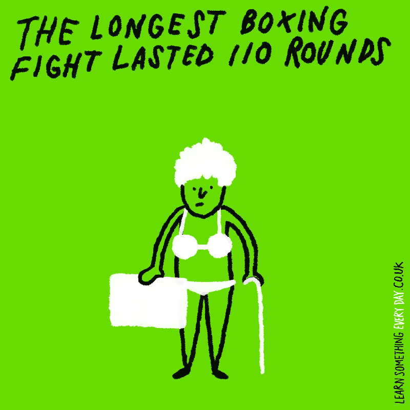 The-longest-boxing-fight-lasted-110-rounds.gif