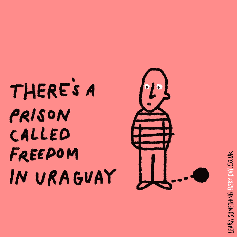 There's-a-prison-called-freedom-in-uraguay.gif