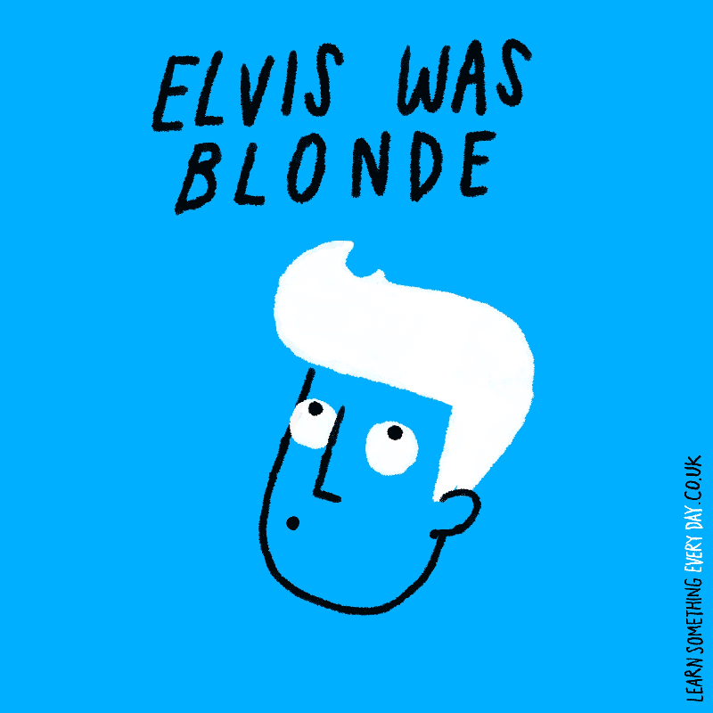 Elvis-was-blonde.gif