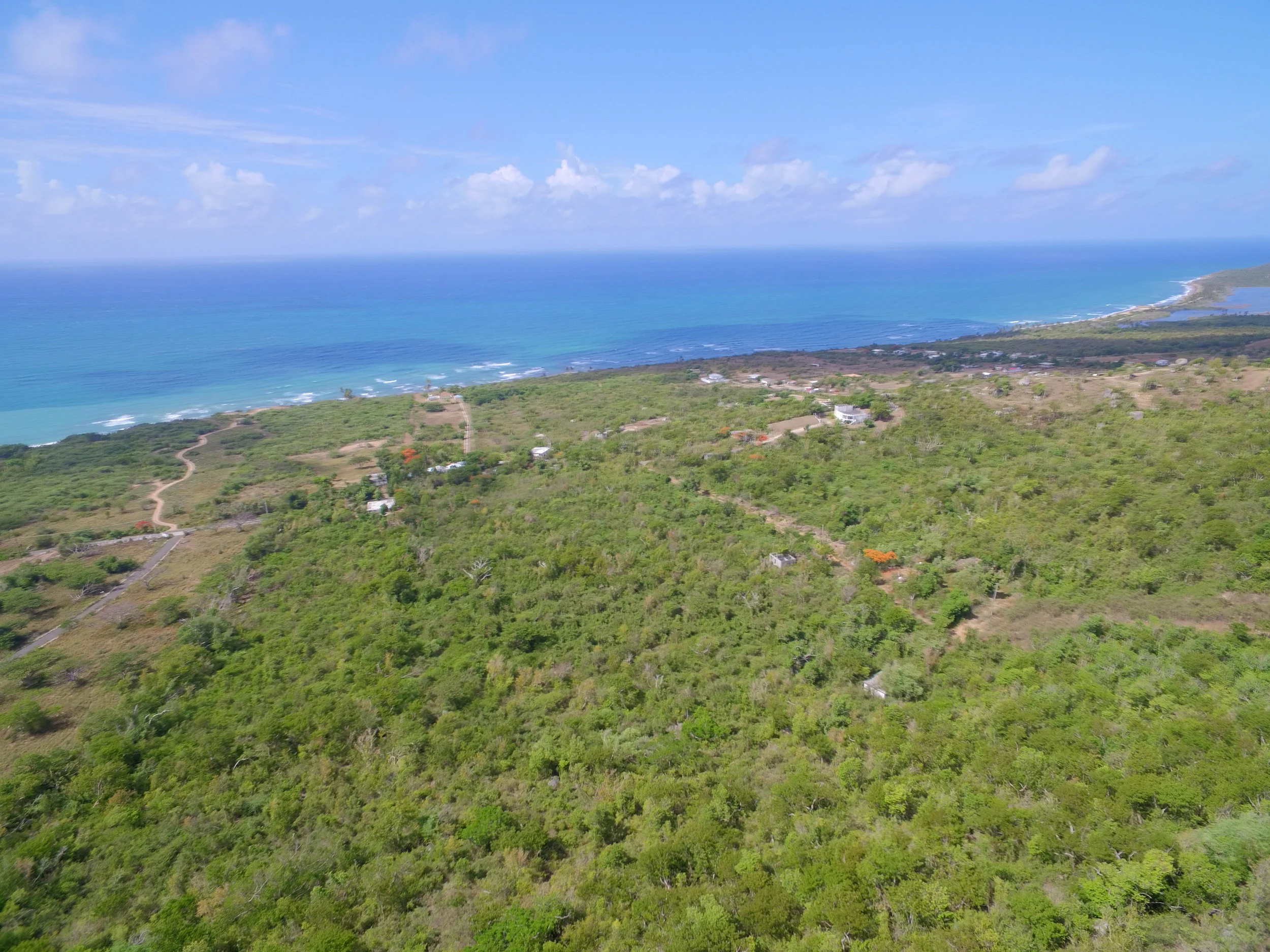 Puerto Rico Ranch Land For Sale In Puerto Rico - Paraiso Realty