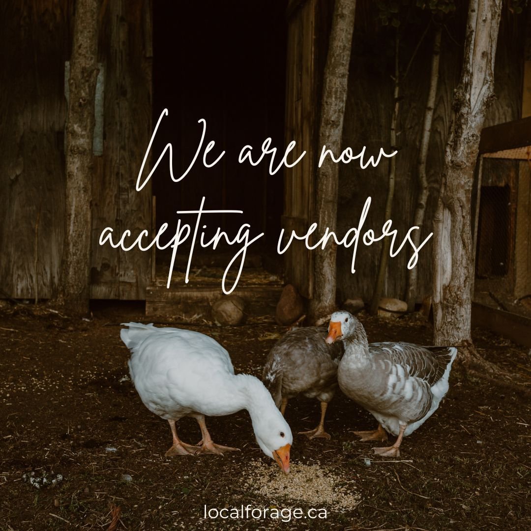 Exciting News! 

We are currently open for vendor applications. Our aim is to deliver high-quality, local products to our community. If you or someone you know would be an excellent match for our brand, we encourage you to visit our website and submi