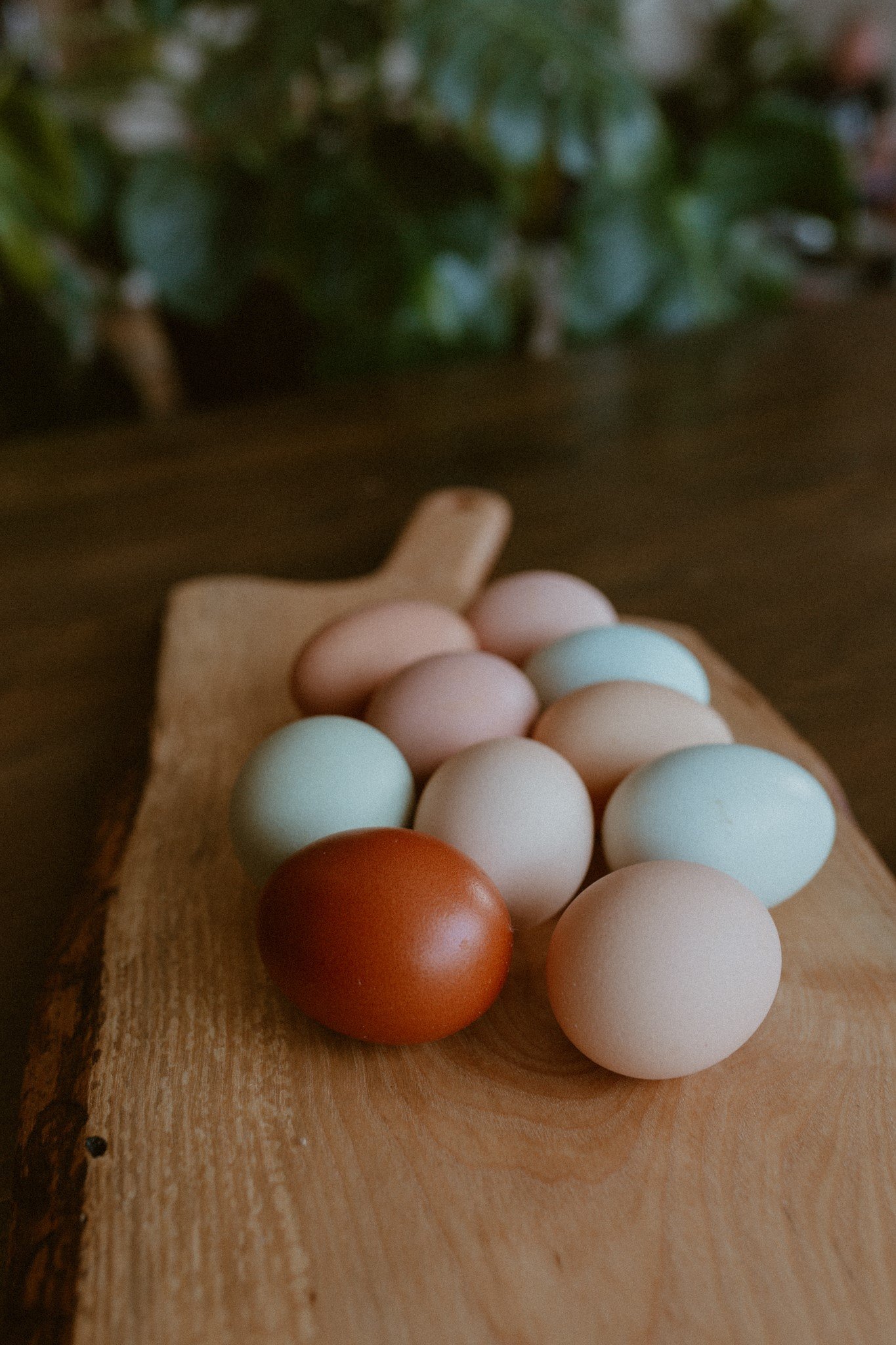 egg8.jpg