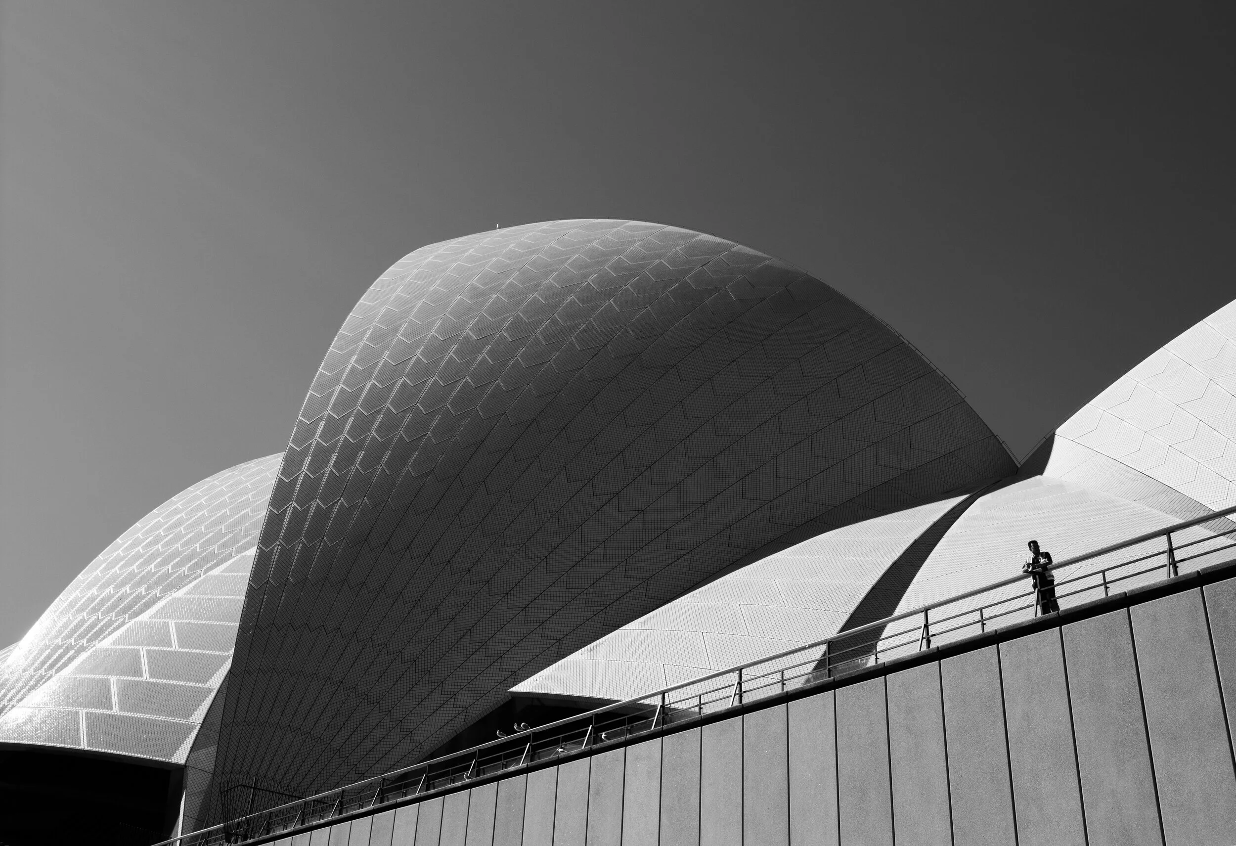 UnderTheSails-1.jpg