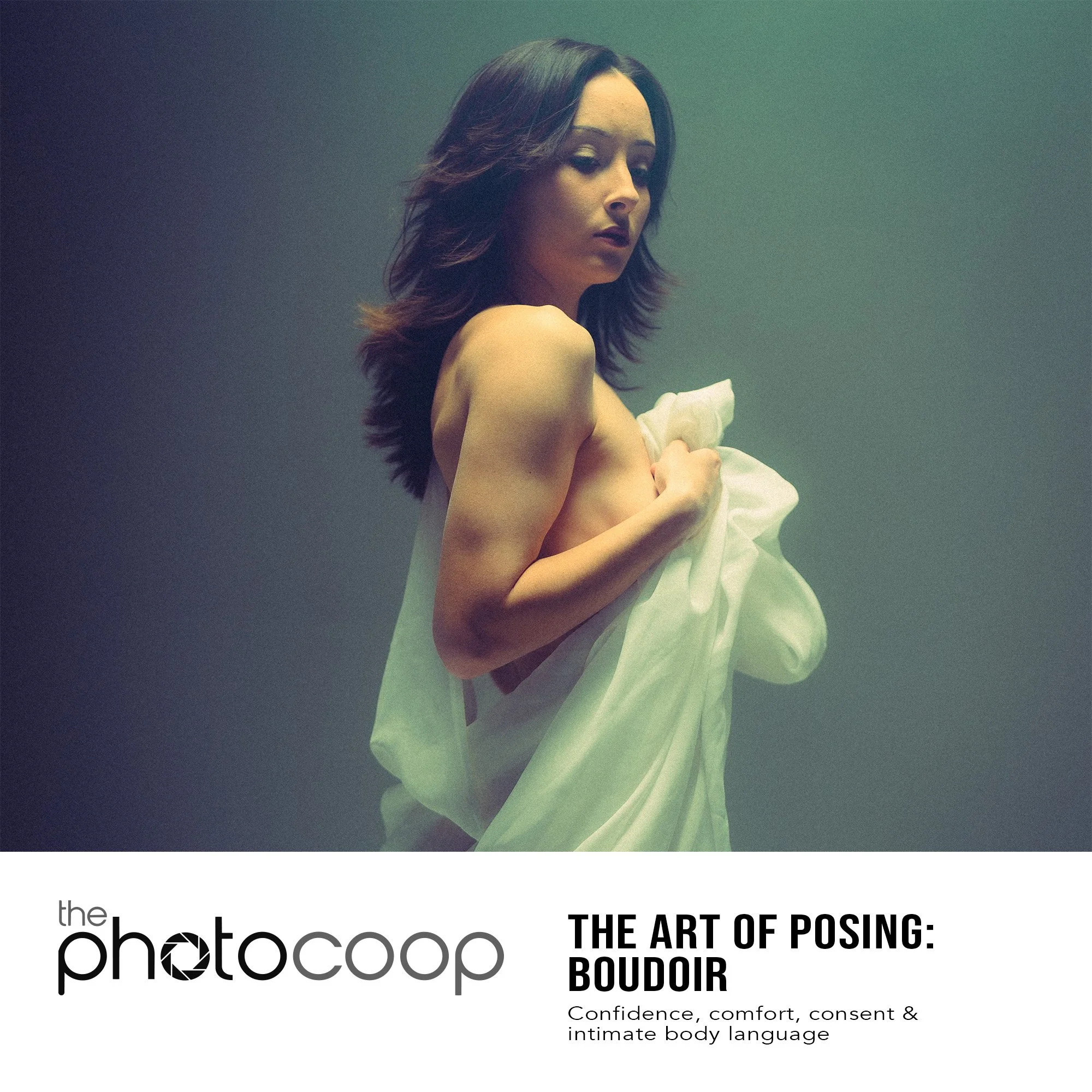 The Art of Posing_ _Boudoir_.jpg