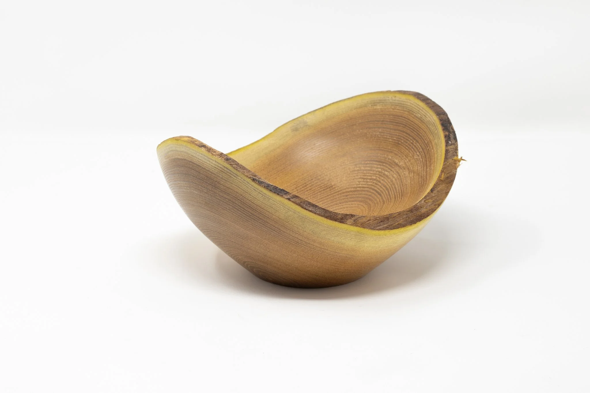 Medical School Amur Cork #23