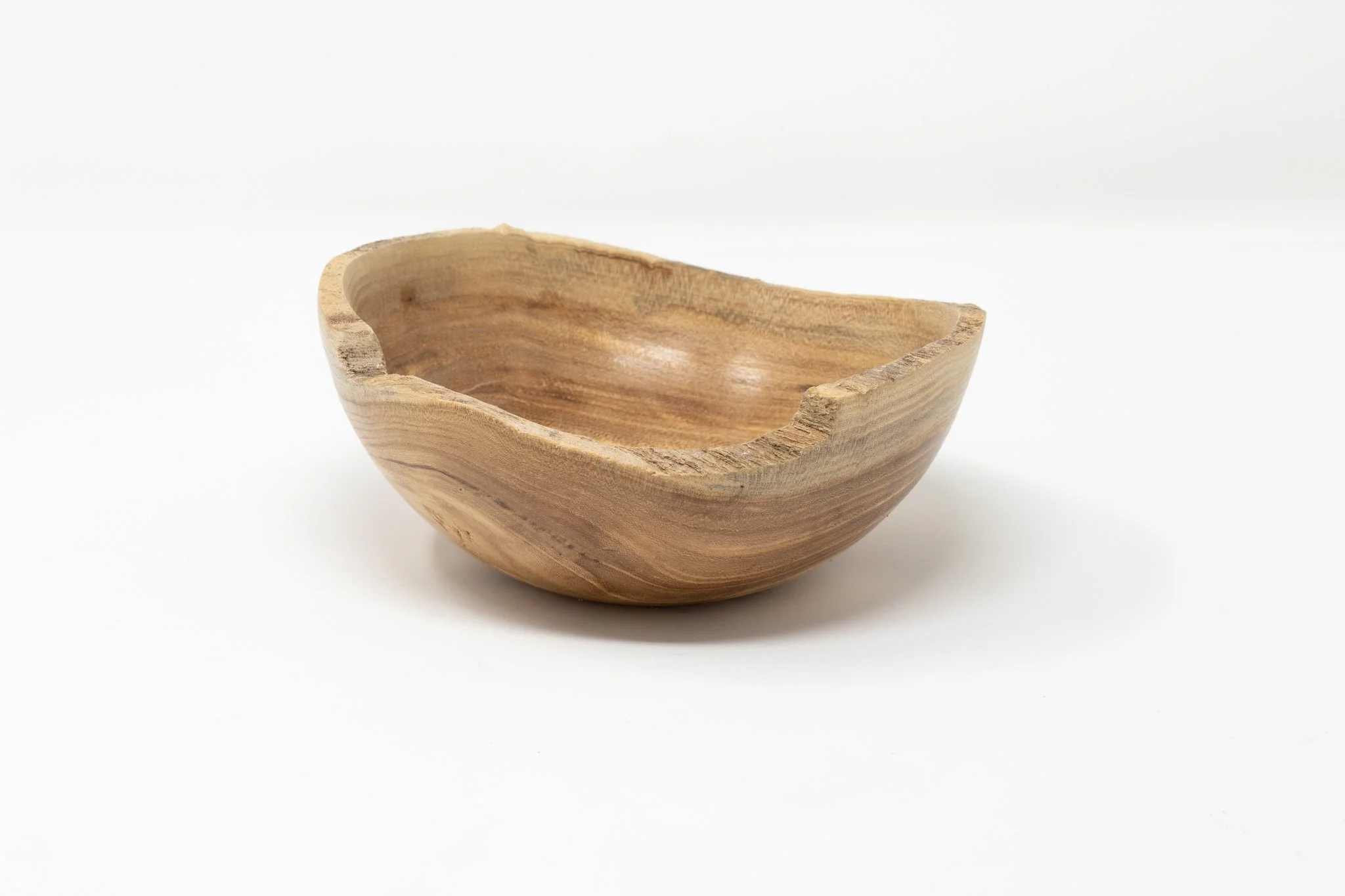 School of Medicine Elm #43