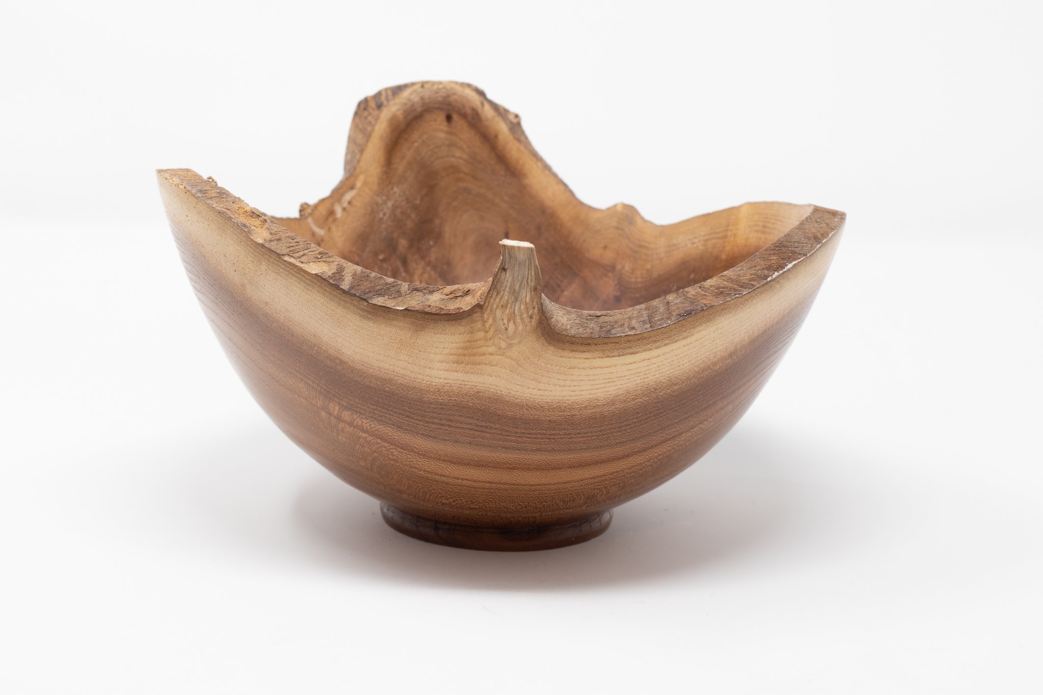 Library Walk Elm #42