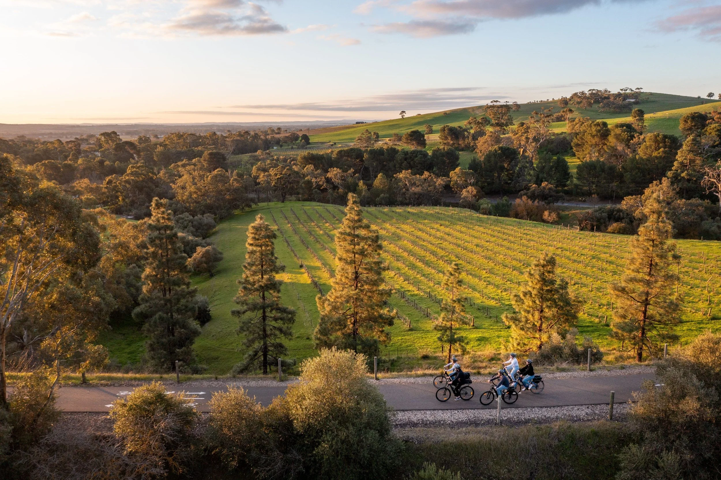 4-day itinerary Barossa MICHELIN restaurants and beyond by bicycle