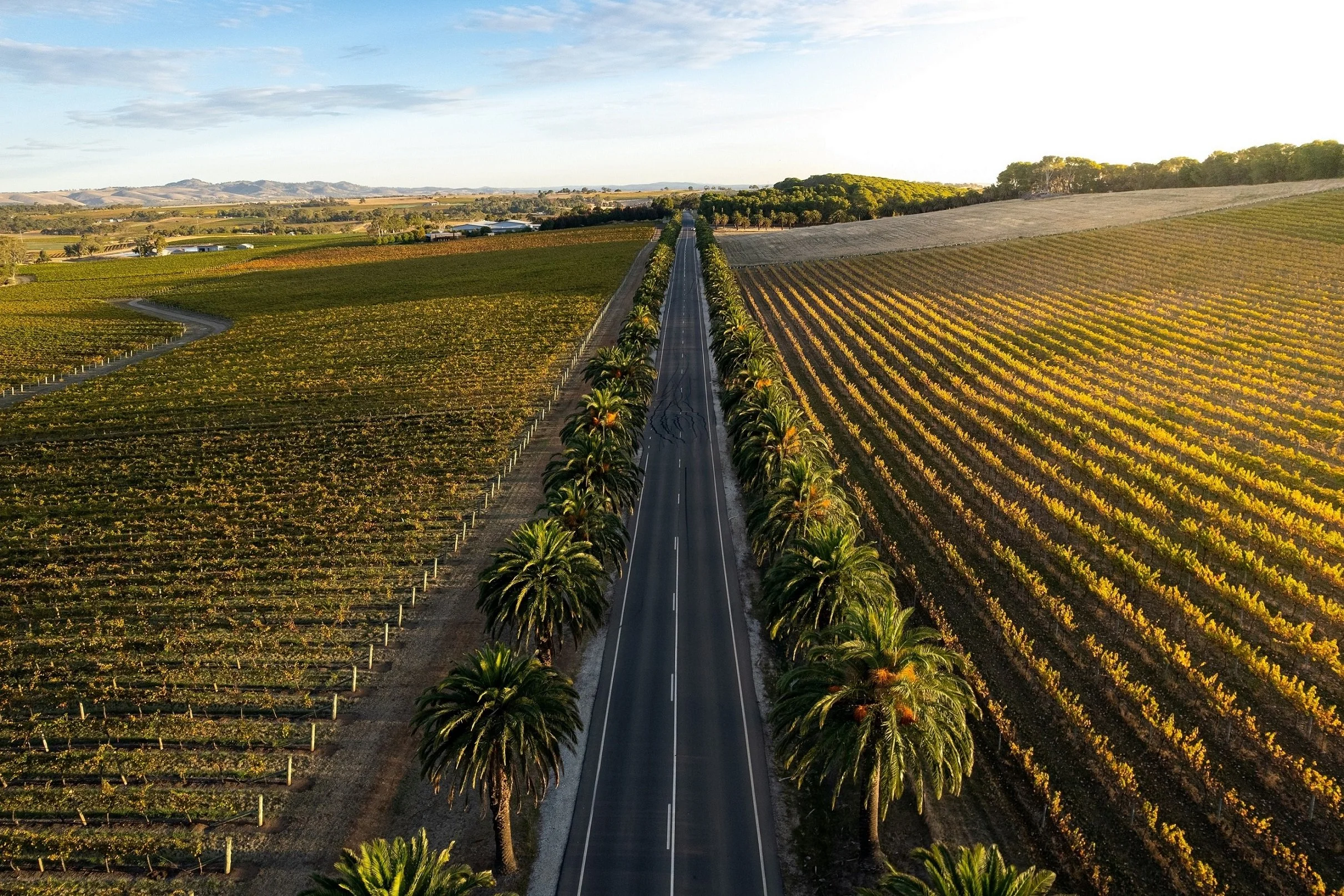 South Australia MICHELIN Road Trip itinerary via the Epicurean Way