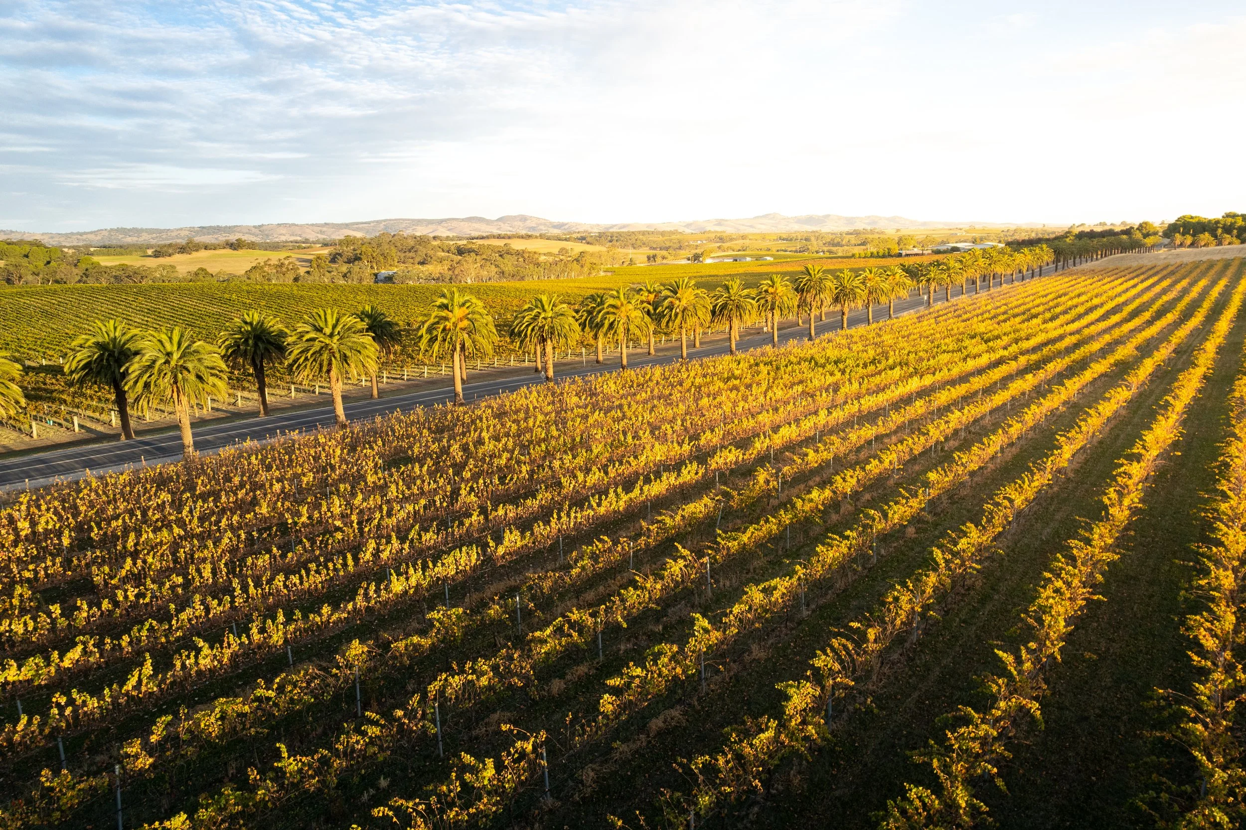 DJI_0476.jpg