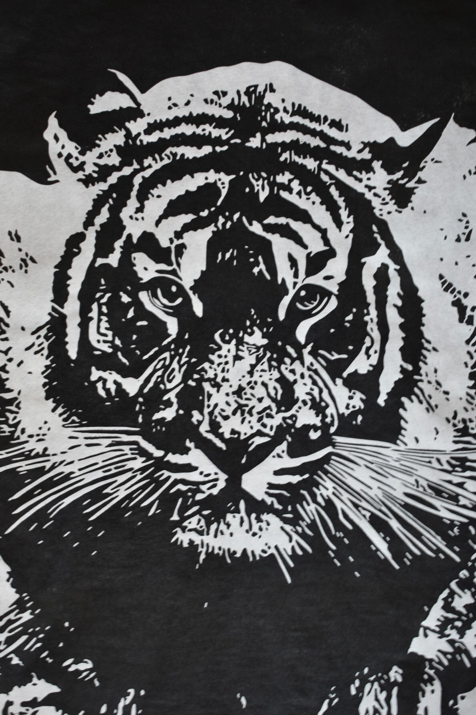 D13B5FAC-F7FB-45ED-B757-1C0CB0FE13EA