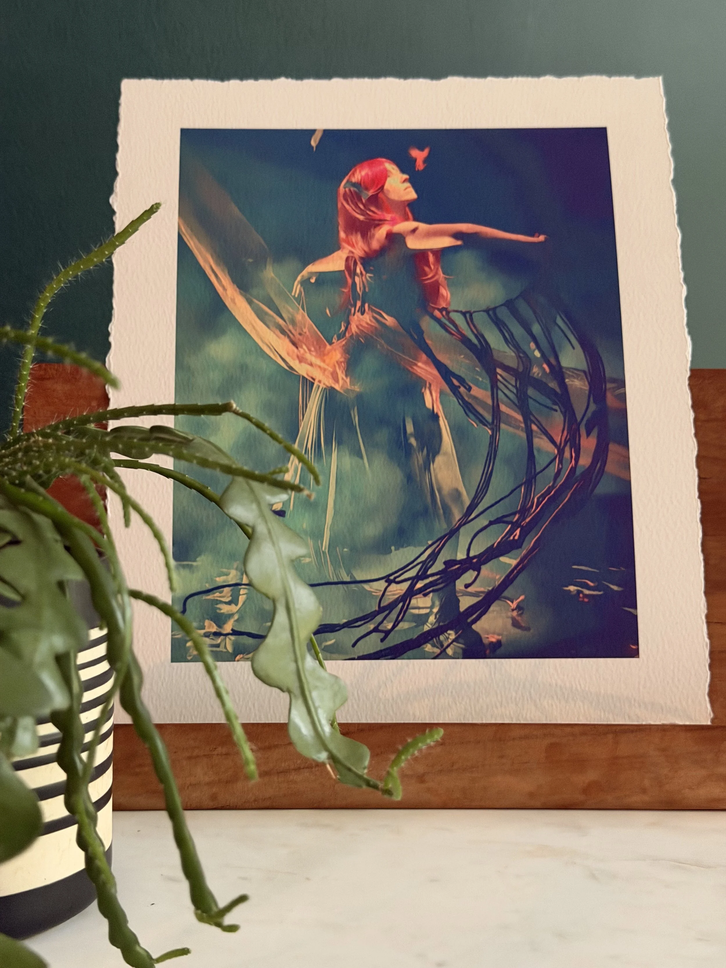 Spiraling Phoenix